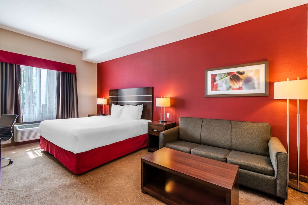 Suite, 1 King Bed, Non Smoking, Kitchen (with Sofabed)