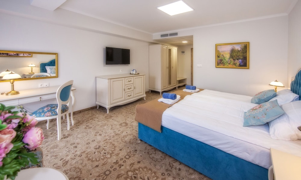 Deluxe Double or Twin Room photo 1