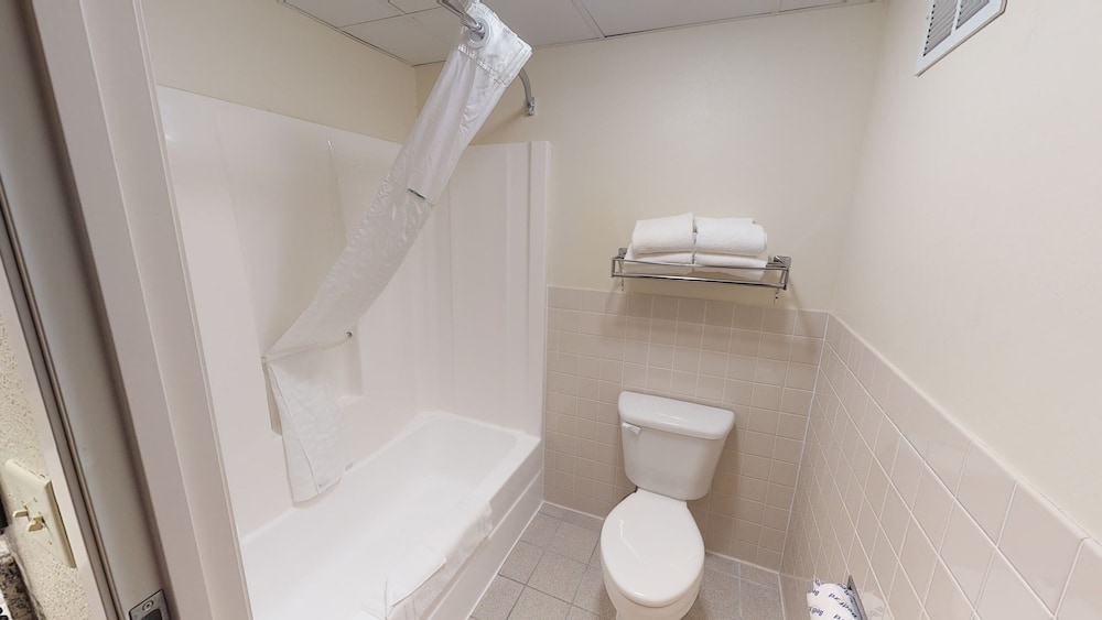 Premier Suite, 1 King Bed, Non Smoking (One-Bedroom Suite) - Photo 6