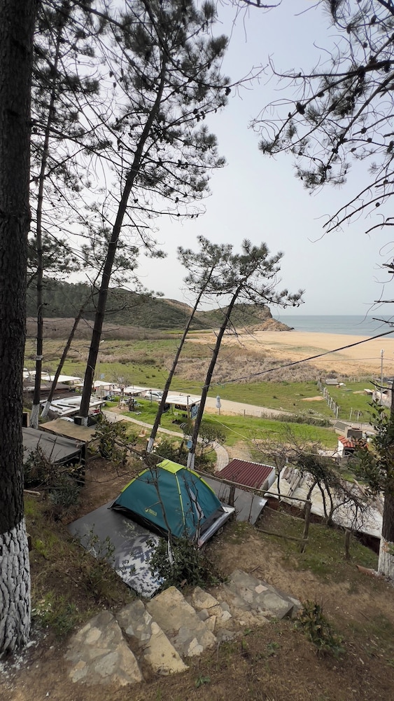Basic Tent, Beach View photo 3