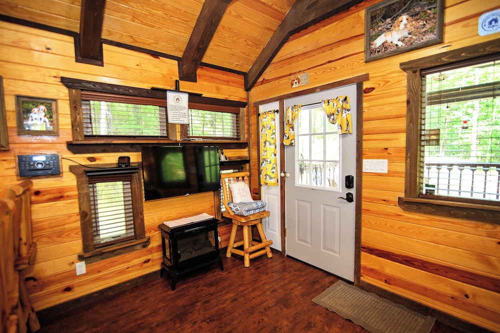 Family Cabin photo 3