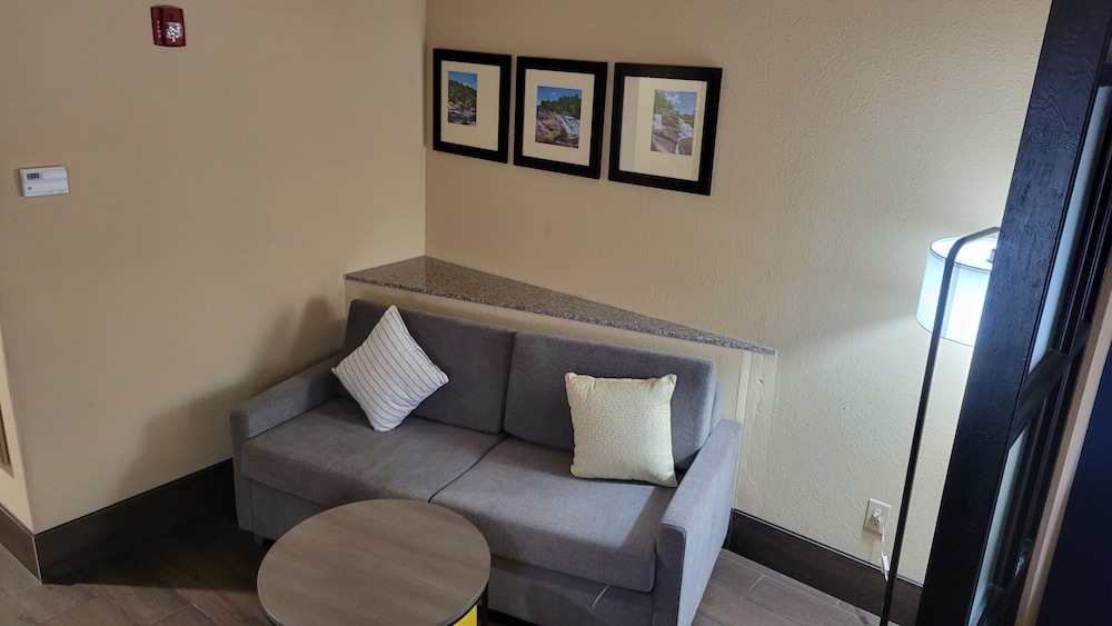 Suite, Non Smoking - Photo 23