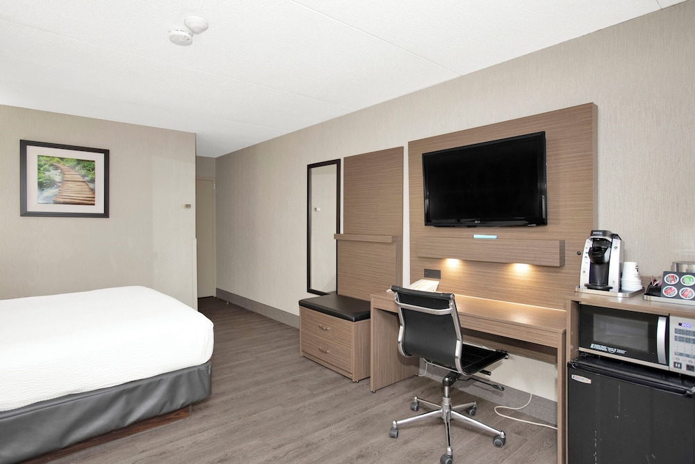 Business Room, Multiple Beds