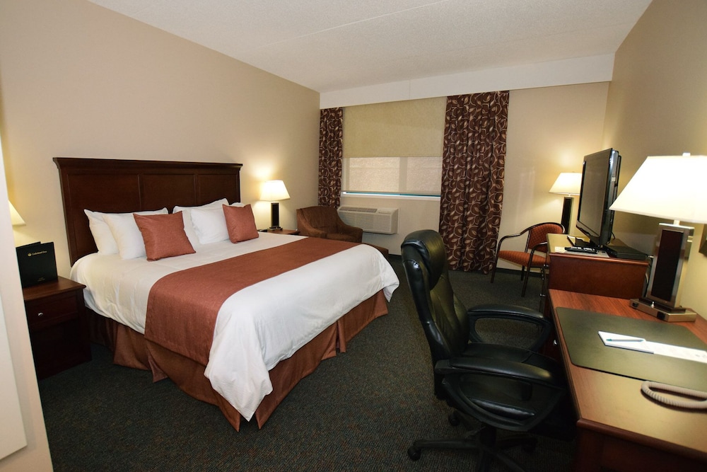 Signature Room, 1 King Bed