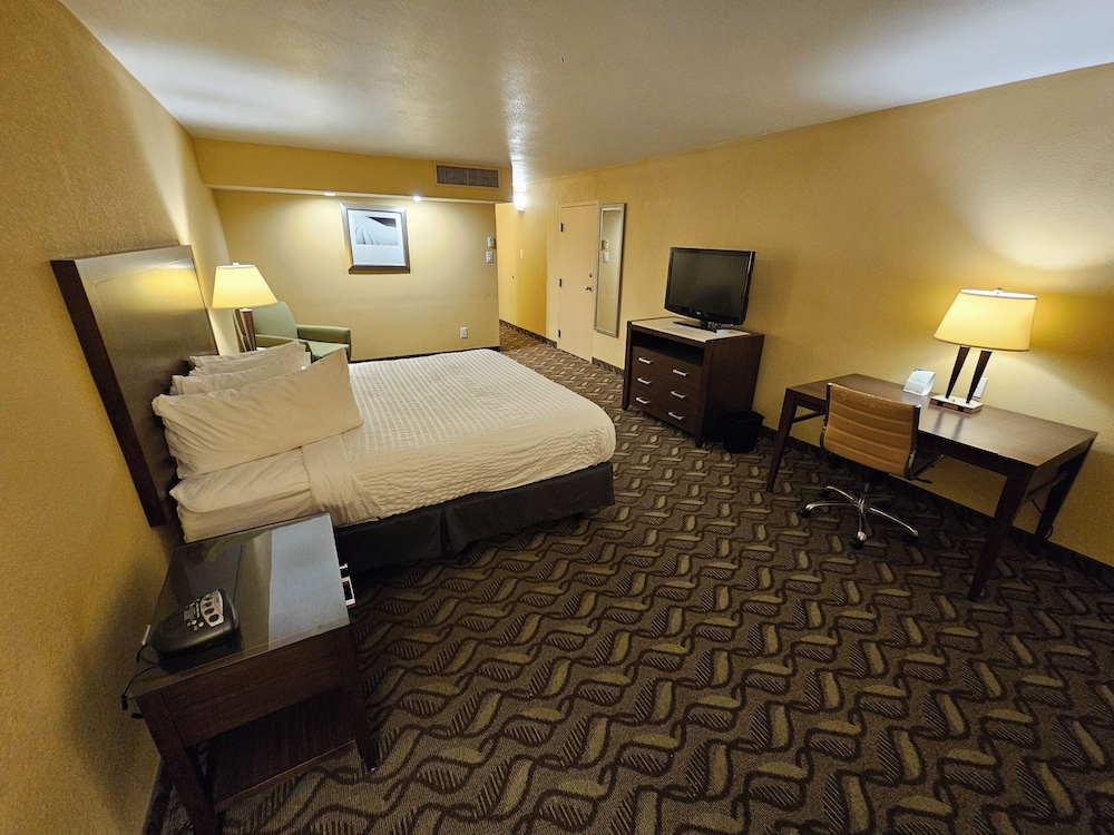Standard Single Room, 1 King Bed, Non Smoking - Photo 10