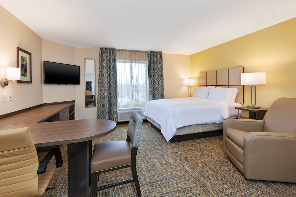 Studio Suite, 1 Queen Bed - Photo 2