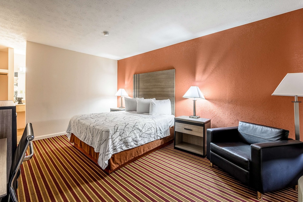 Room, 1 Queen Bed, Smoking - Photo 3
