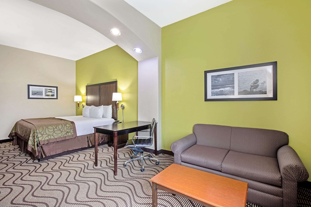 Deluxe Suite, 1 King Bed, Smoking (Mobility,Hearing,Tub w/Grab Bars) - Photo 1