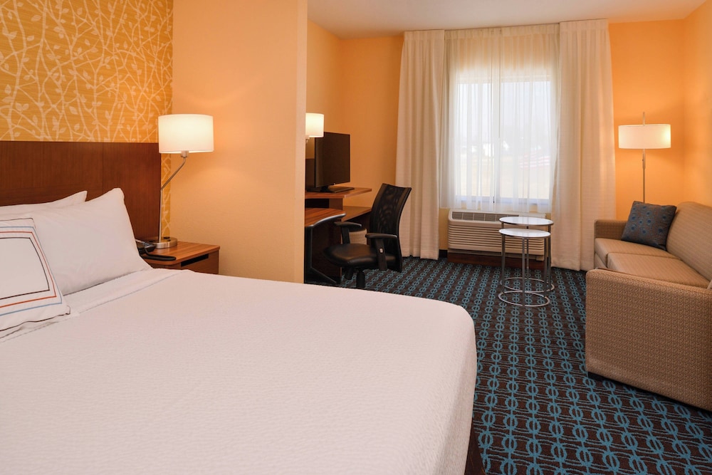 Suite, 1 King Bed with Sofa bed
