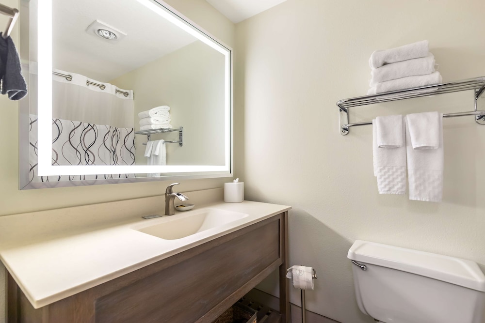 Suite, 1 King Bed, Non Smoking, Refrigerator & Microwave - Photo 12