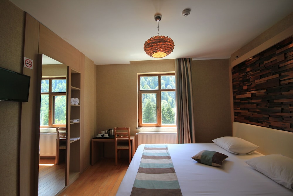Deluxe Double or Twin Room, Mountain View photo 1