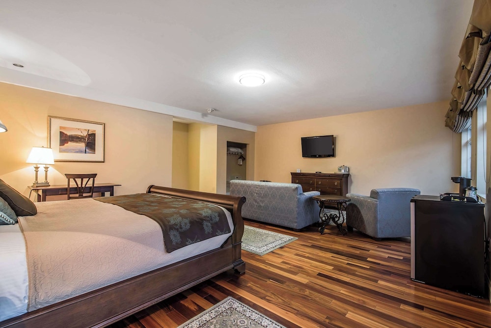 Room, 1 King Bed with Sofa bed, Accessible, Non Smoking photo 3