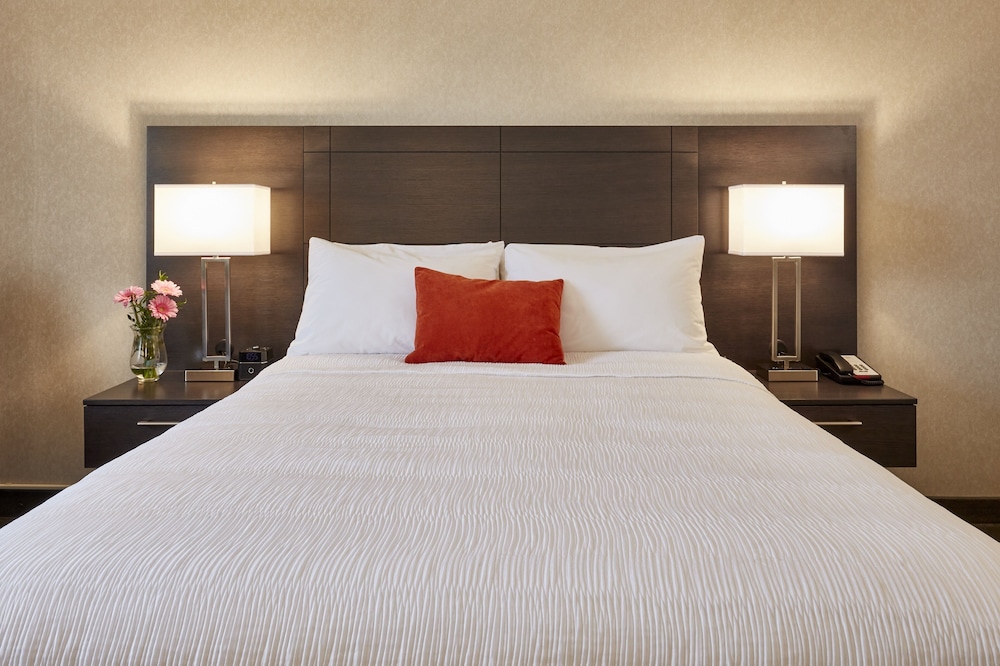 Room, 1 Queen Bed photo 1