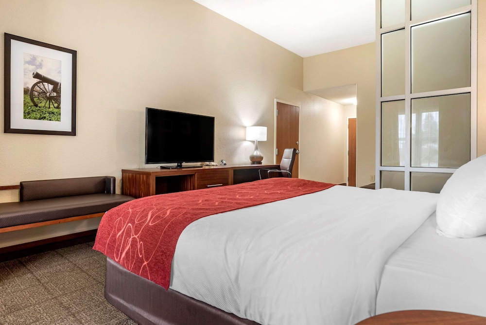 Suite, 1 Queen Bed with Sofa bed, Accessible, Non Smoking - Photo 3