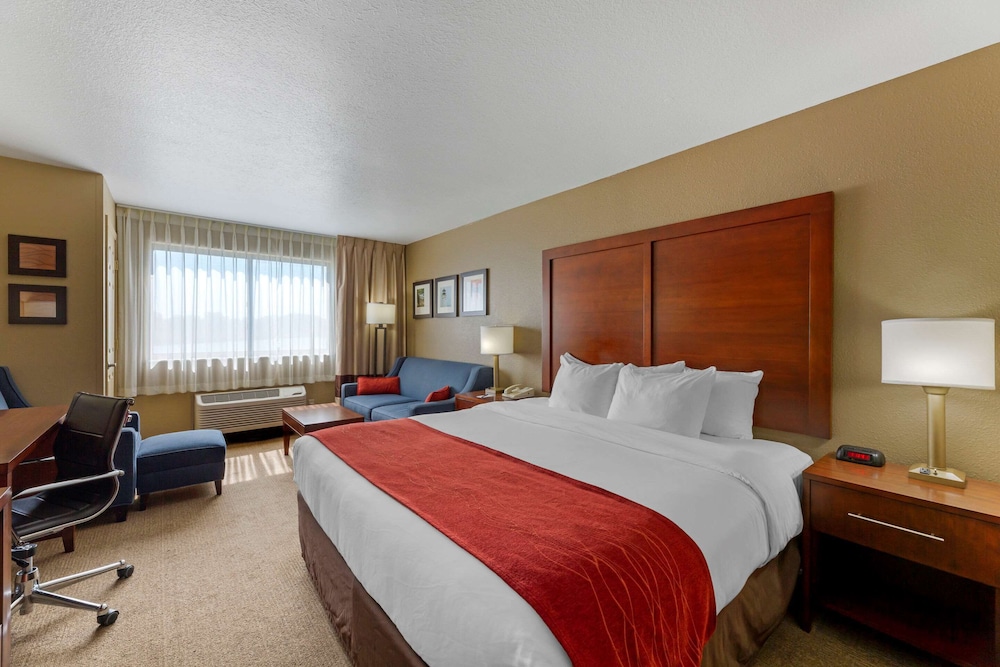 Standard Room, 1 King Bed with Sofa bed, Non Smoking photo 1