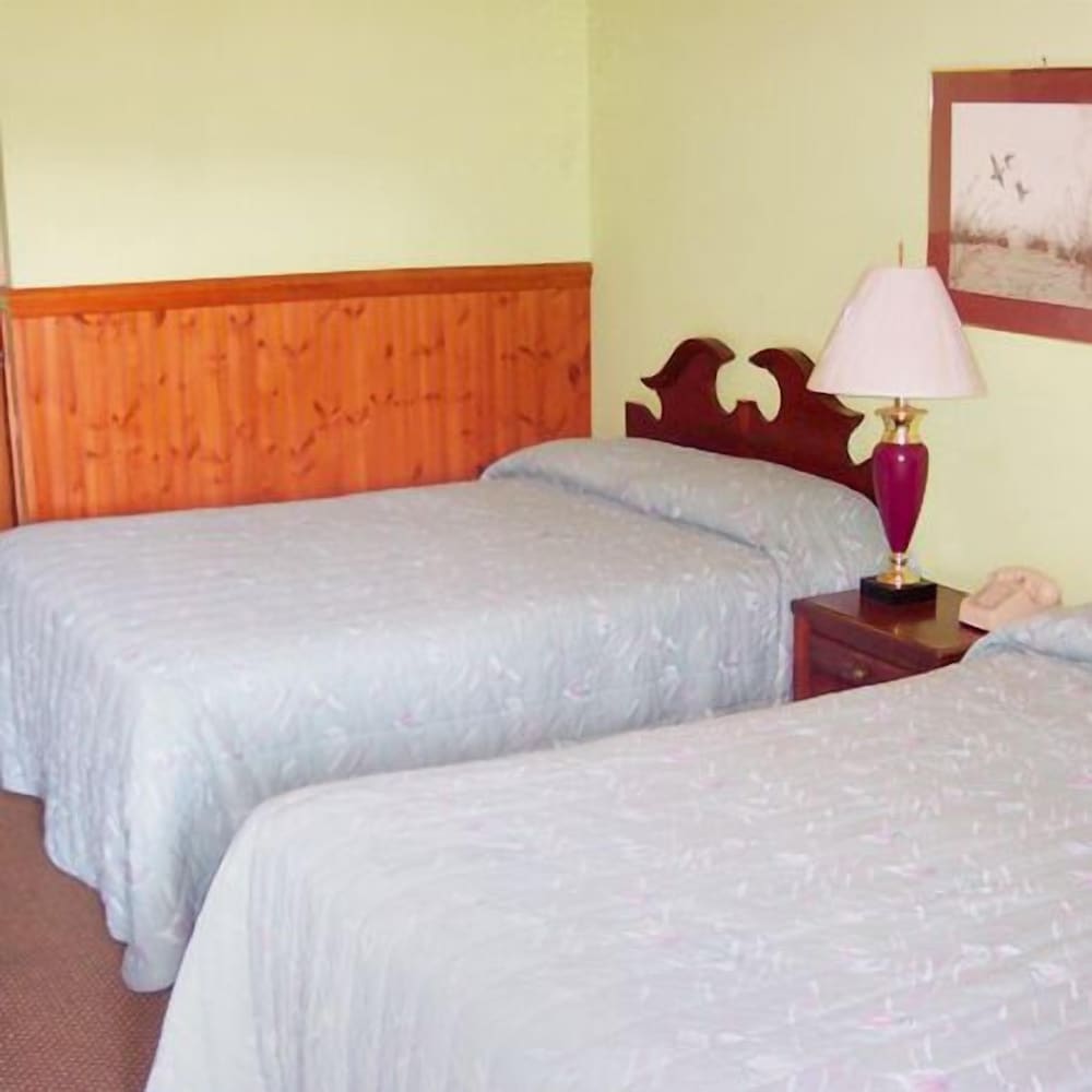 Standard Room, 1 Double Bed, Non Smoking photo 1