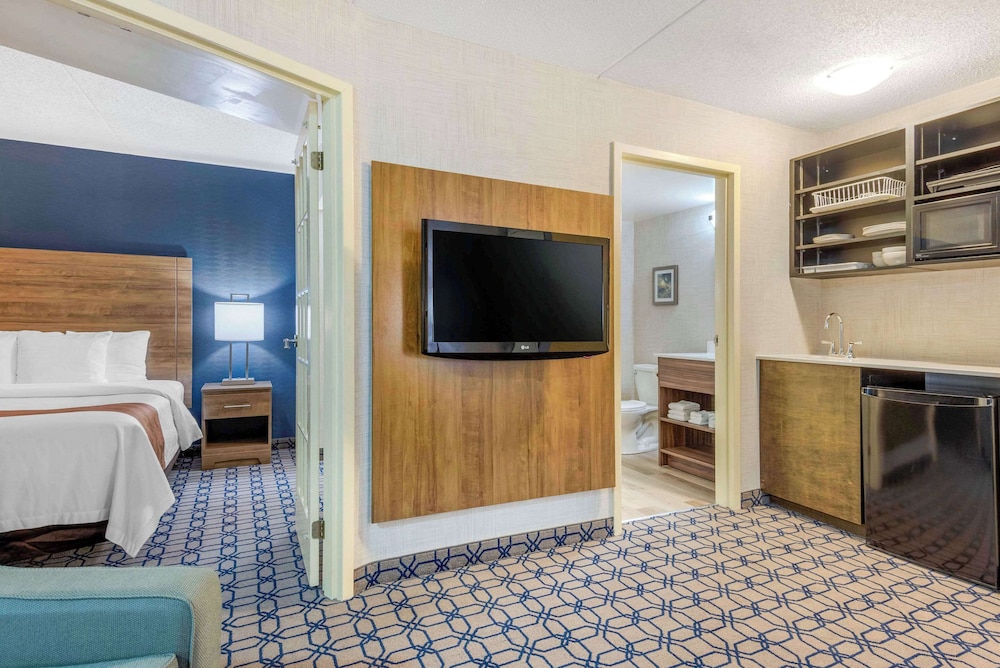 Suite, 1 King Bed With Sofa Bed, Non Smoking (Efficiency, Upgrade) - Photo 4