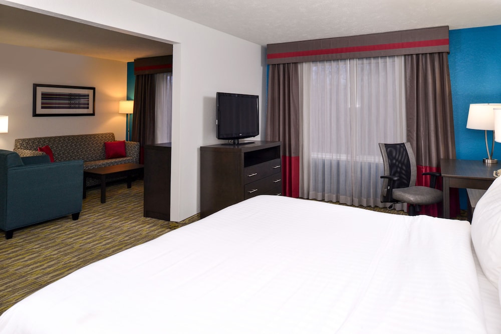 Suite, 1 King Bed with Sofa bed