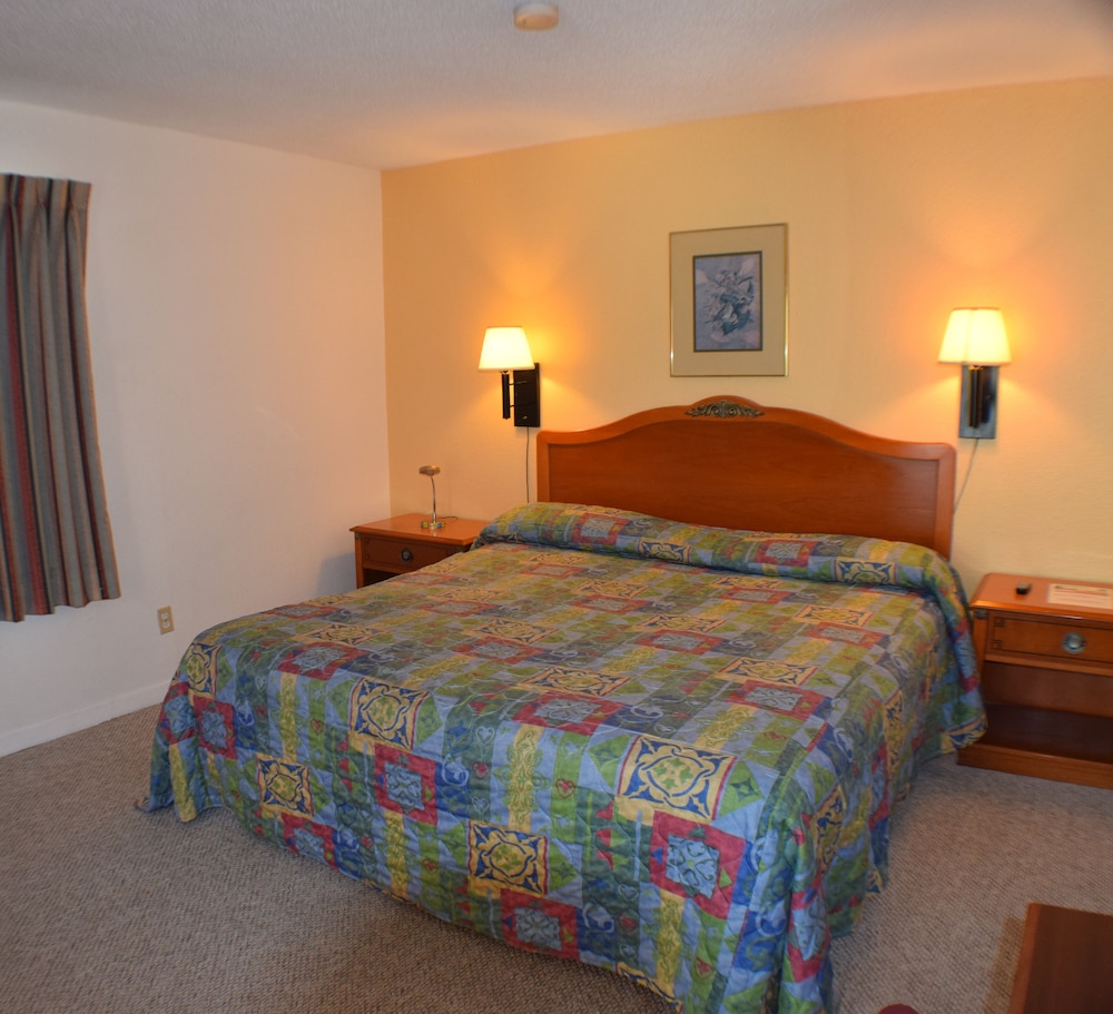 Basic Single Room, 1 King Bed