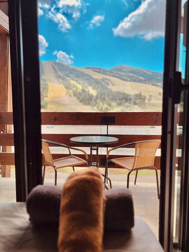 Standard Twin Room, Balcony, Mountain View photo 3