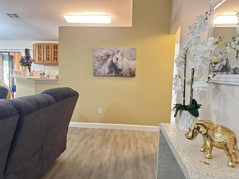 Family 3BR Near Equestrian Dunellon FL, Photo 20