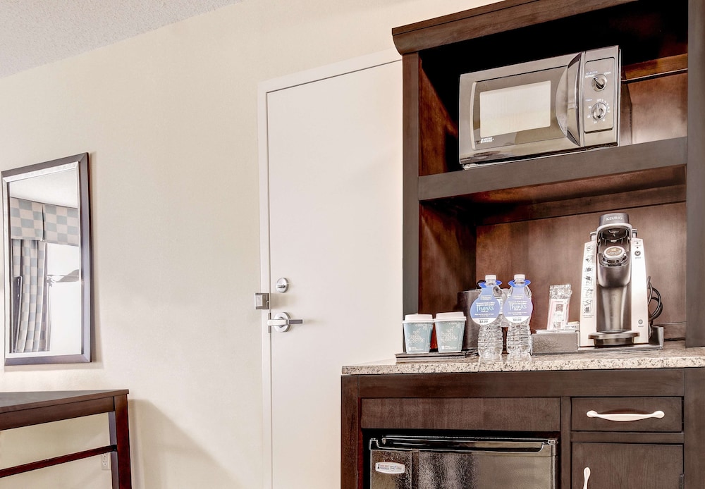 Suite, 1 Bedroom - Photo 4