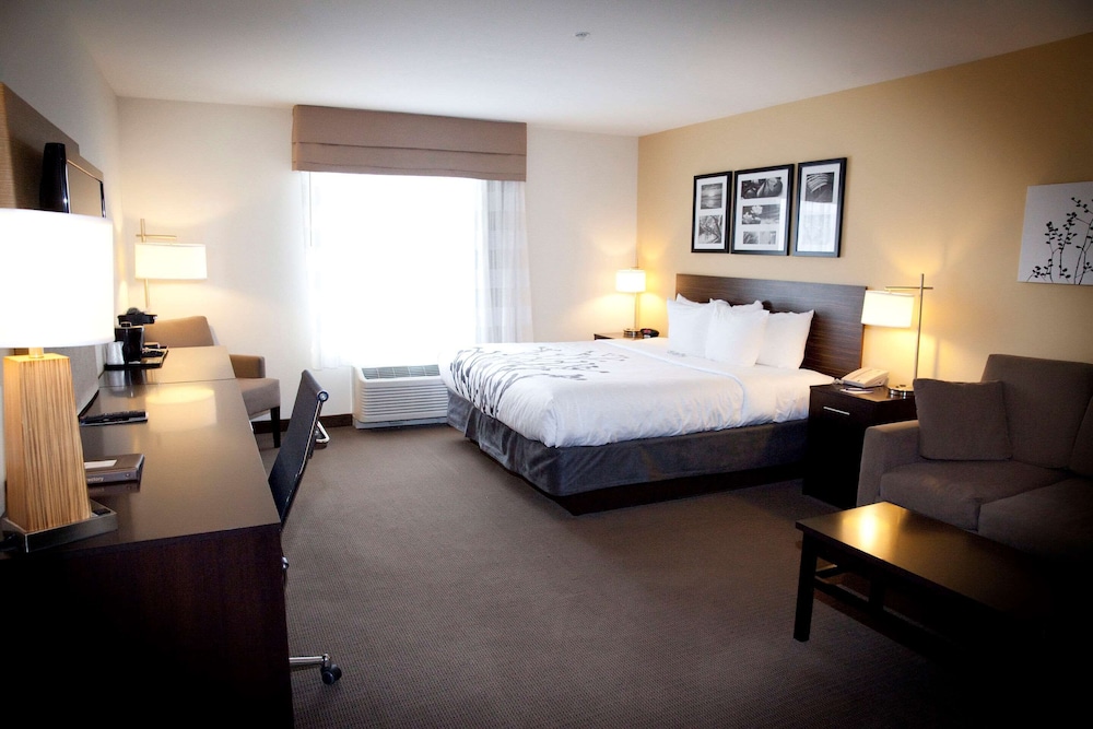 Suite, 1 King Bed with Sofa bed, Non Smoking photo 3