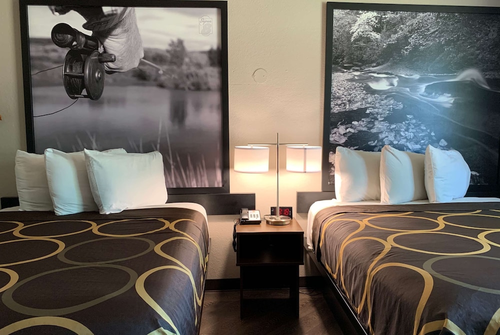 Studio Suite, Multiple Beds, Non Smoking photo 2