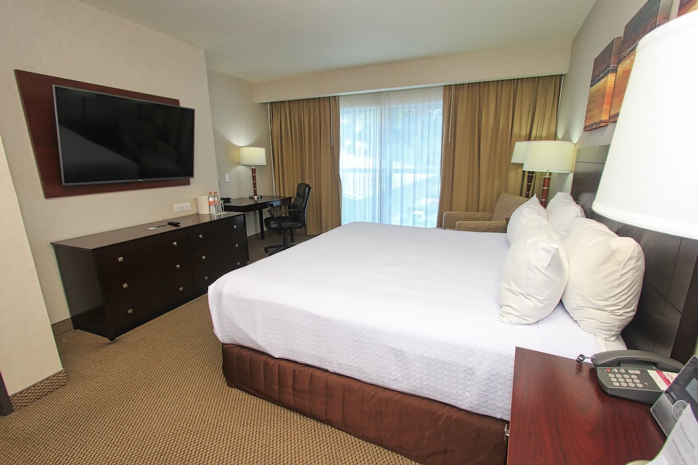 Suite, 1 King Bed - Photo 9