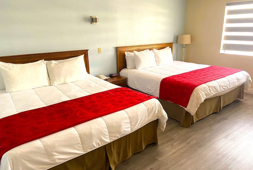Suite, 1 Bedroom, Non Smoking photo 1