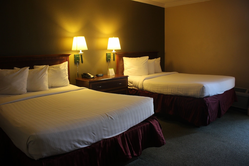 Luxury Suite, 1 Bedroom photo 1