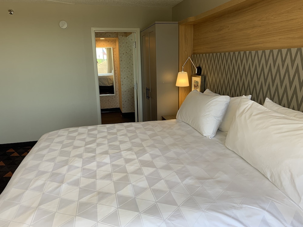 Suite, 1 Bedroom - Photo 1