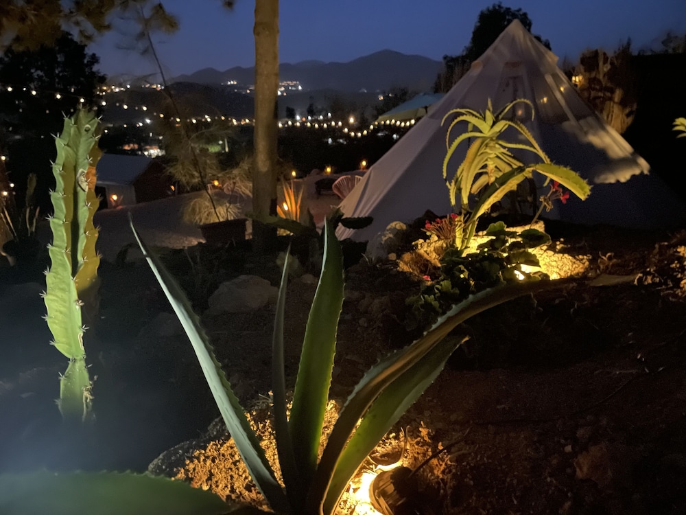 Tent photo 3