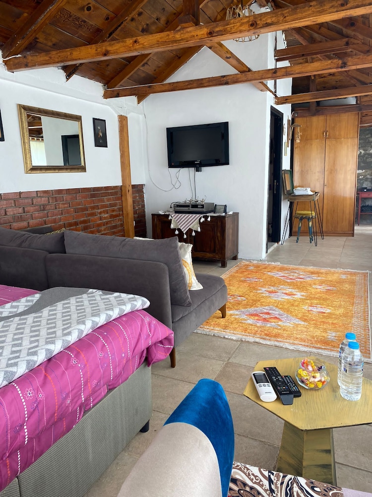 Comfort Studio Suite photo 2