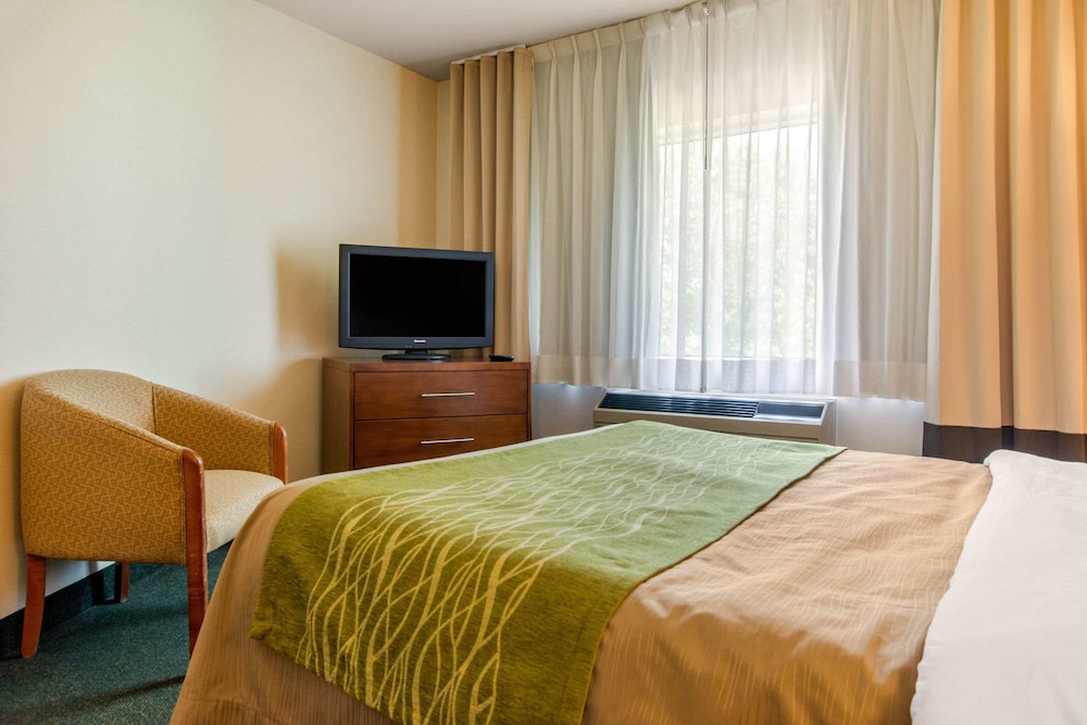 Suite, 1 Queen Bed with Sofa bed, Non Smoking - Photo 4