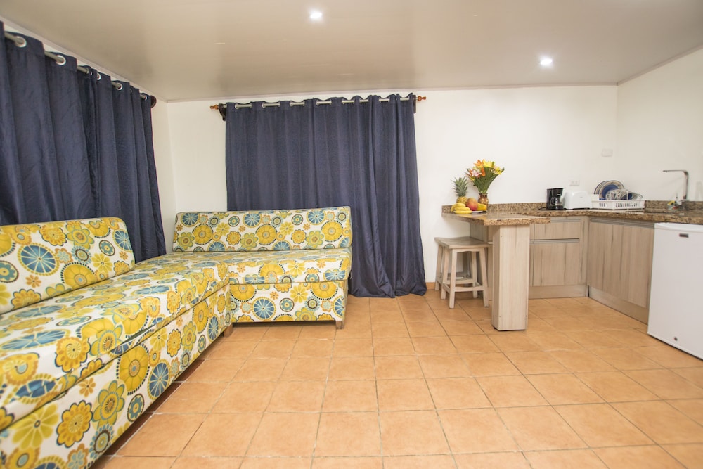 Basic Studio Suite photo 2