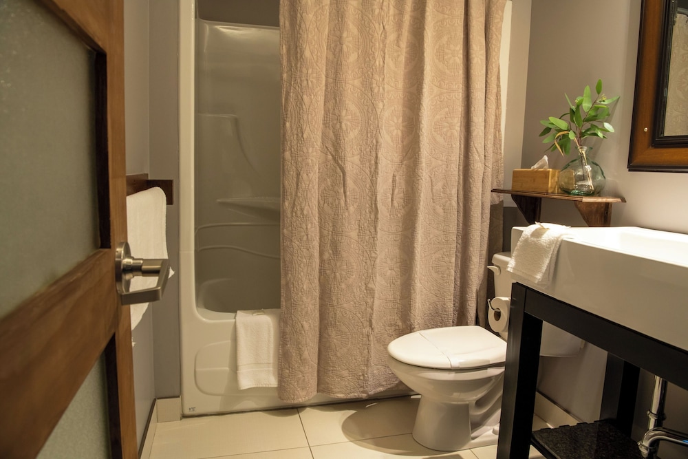 Premier Room, 1 Double Bed, Accessible (Lynx) photo 3