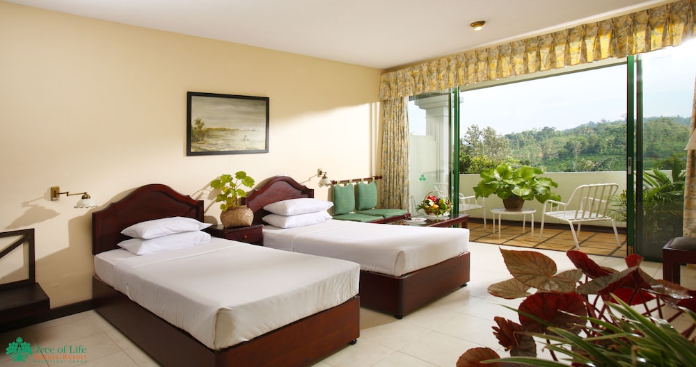 Deluxe Room - Photo 15