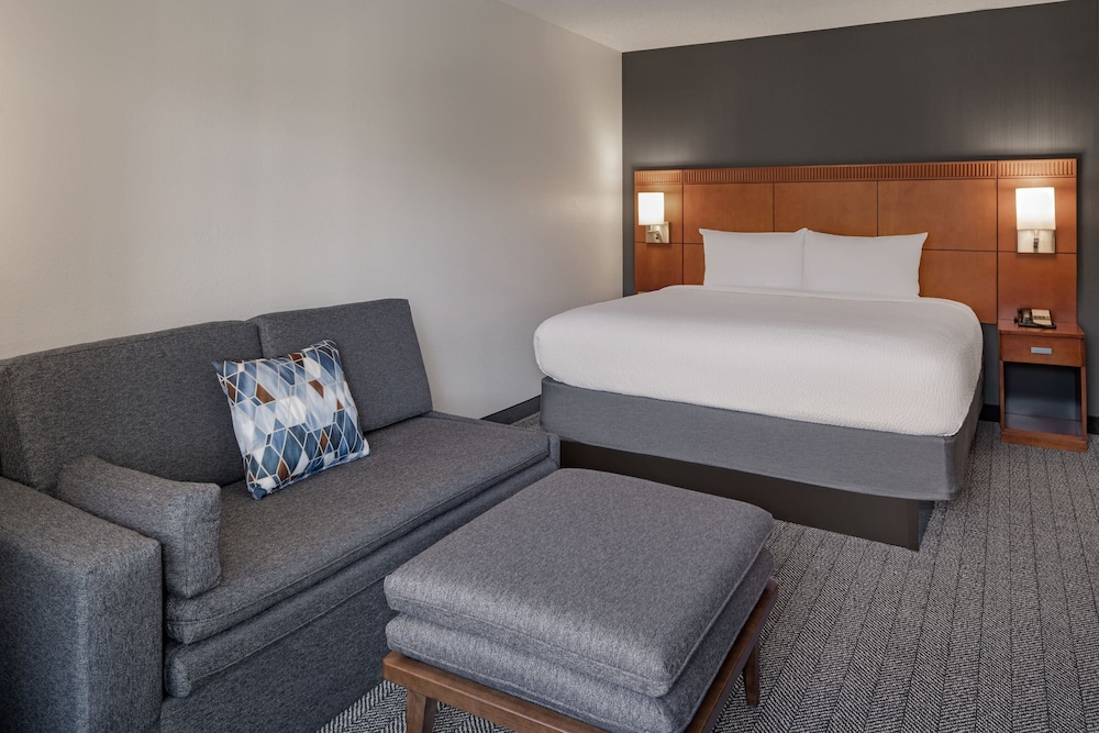 Room, 1 King Bed with Sofa bed (Mobility/Hearing Access, Roll-In Shwr) photo 1