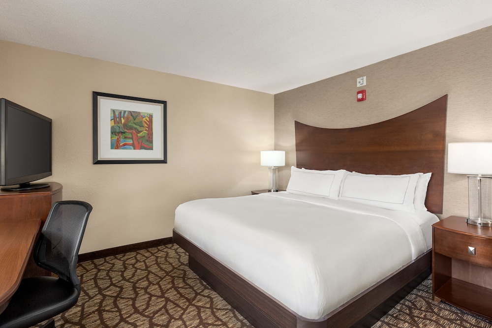 Room, 1 King Bed, Accessible, Refrigerator - Photo 7