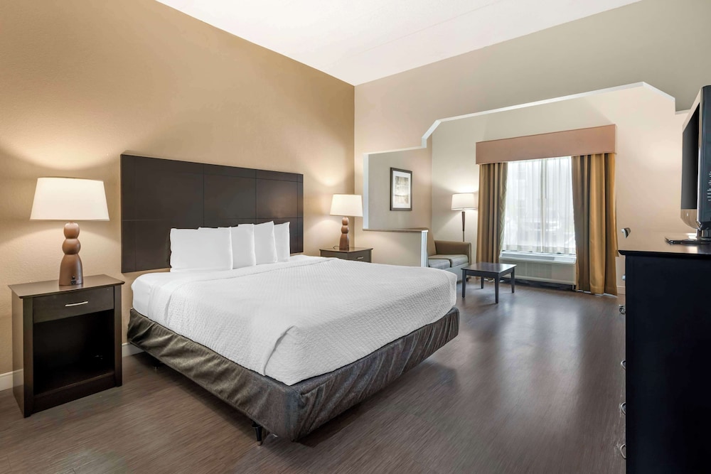 Suite, 1 King Bed, Accessible, Non Smoking (with Sofabed) - Photo 3