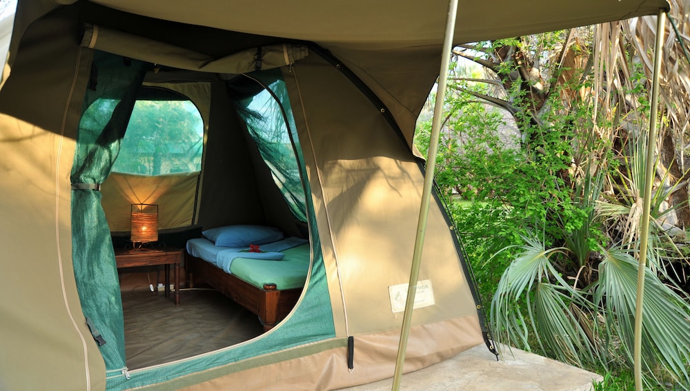 Tent (Adventure Village ) photo 1