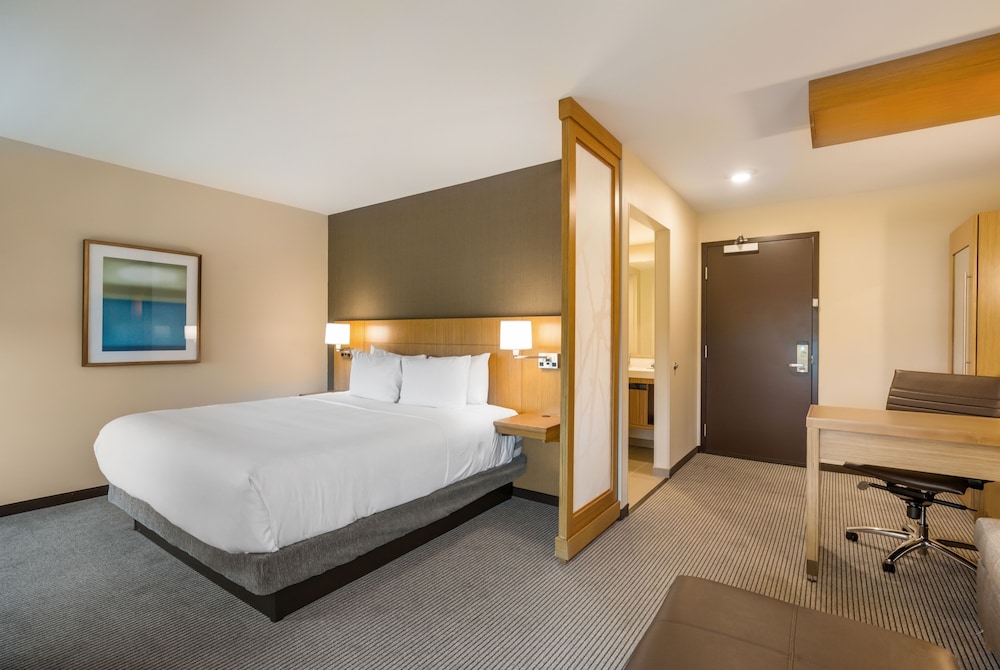 Deluxe Room, 1 King Bed with Sofa bed (Speciality) photo 3