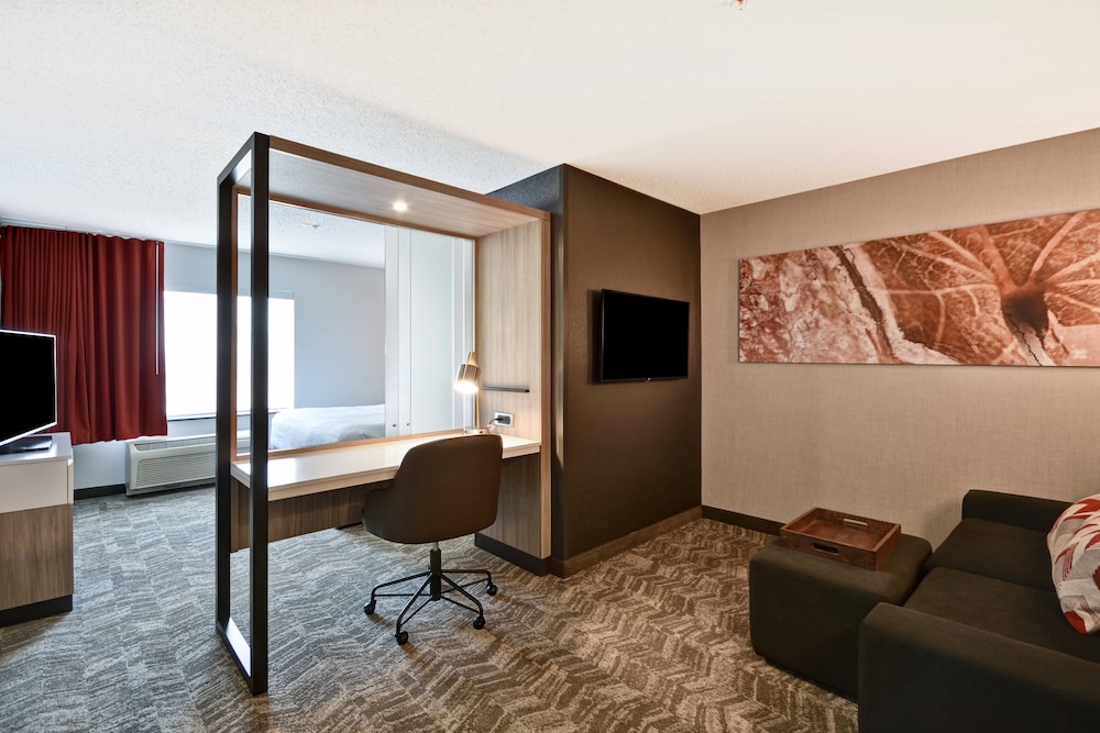 Suite, 1 King Bed with Sofa bed (Mobility Accessible, Roll-In Shower) - Photo 3