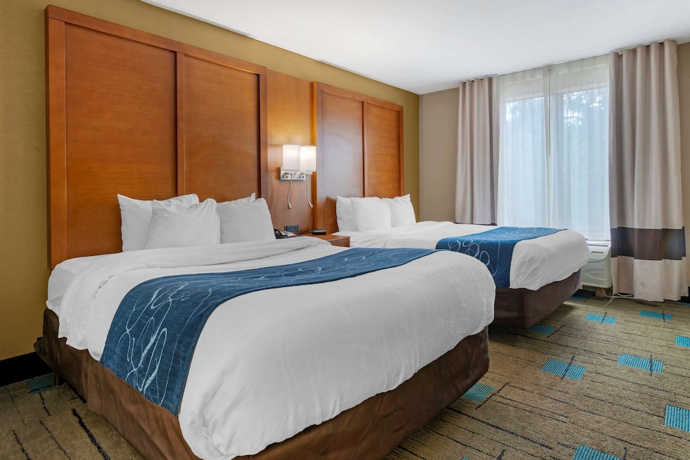 Suite, Multiple Beds, Accessible, Non Smoking photo 3