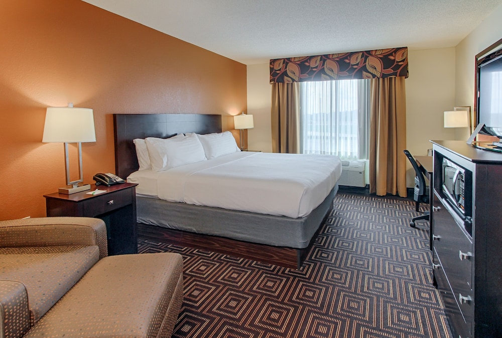 Suite, 1 Bedroom - Photo 1