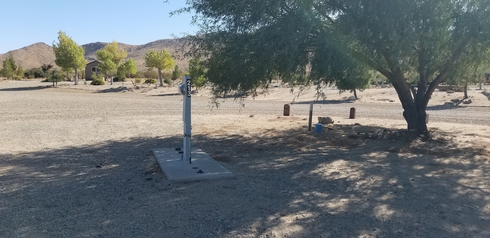 50 amp Pull Through Camp Site photo 2