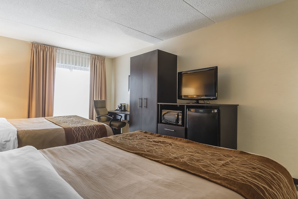 Room, 2 Queen Beds, Non Smoking (Dog Friendly) Ground Level - Photo 4