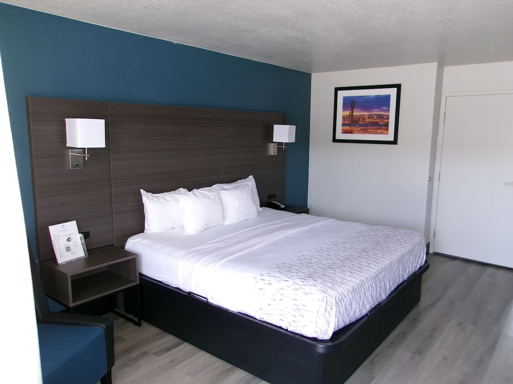 Standard Room, 1 King Bed, Accessible, Refrigerator & Microwave - Photo 15