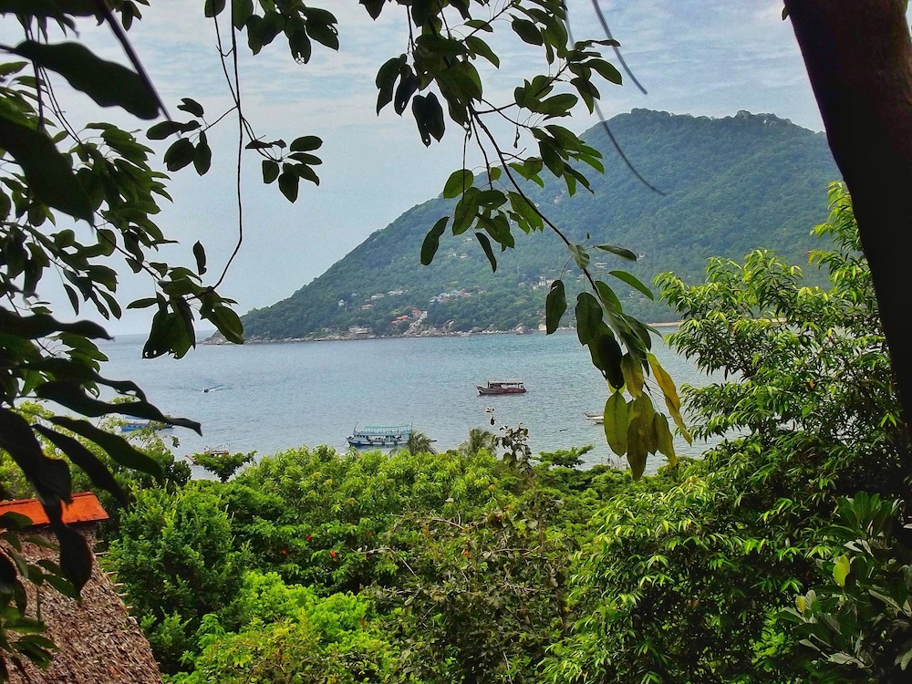 Deluxe Bungalow (Hill Side) photo 3